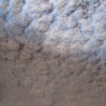 ABBA Trade Show and Carlson's Dinner April 2009 004