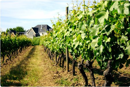 DiscoveryPass_BigImage