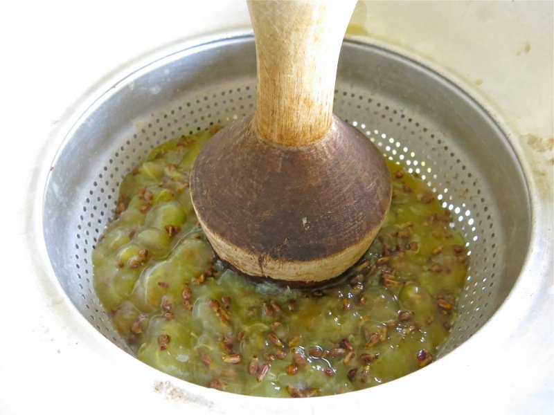 Classic Preparation of Concord Grapes for Recipes