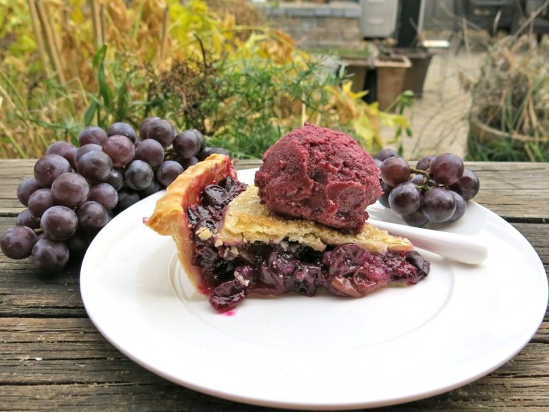 Concord Grape Pie