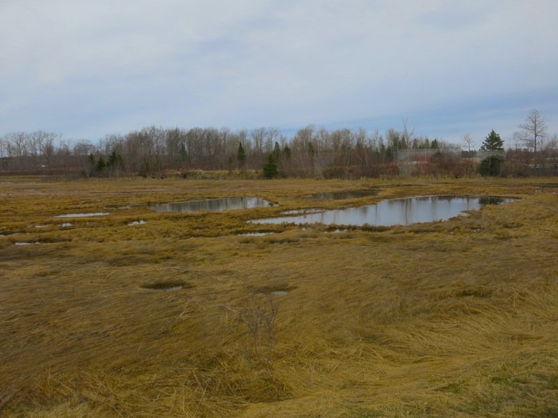 Frazer Gallery Exhibit and Lunch at Tatamagouche
