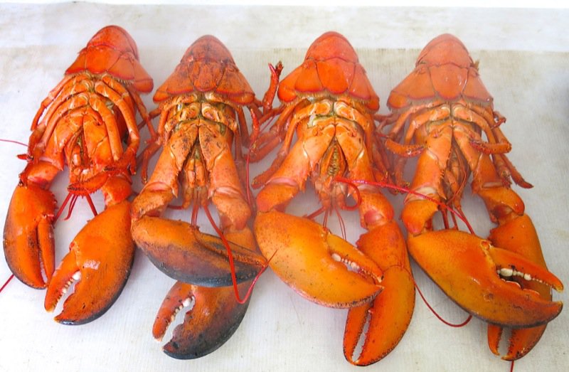 Ryer Lobsters enroute to Peggy's Cove