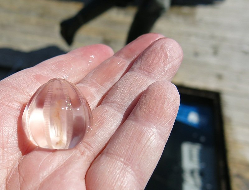 The Lobster Cars at Dennis Point Wharf in Pubnico
