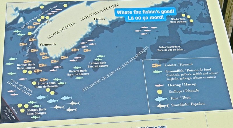 The Lobster Cars at Dennis Point Wharf in Pubnico