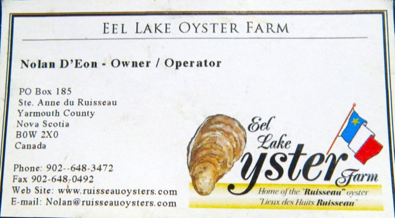A Fieldtrip to Eel Lake Oyster Farm