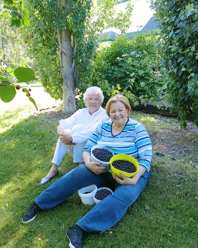 31 Valerie Lugonja and Helen McKinney 2014 Berry Picking