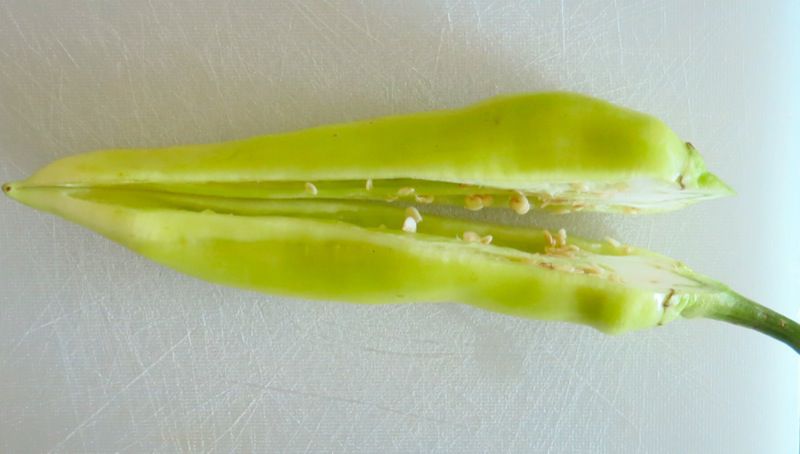 Donadeo Giardiniera Sott’Oilio 