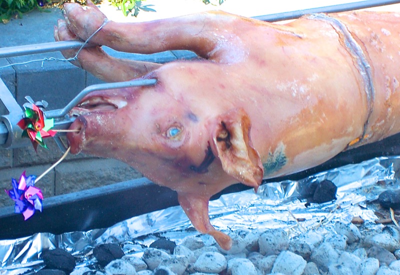 11-vanja-lugonja-40th-july-2006