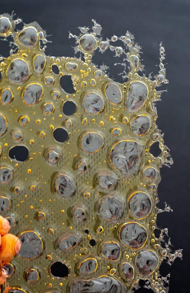 Bubble Sugar