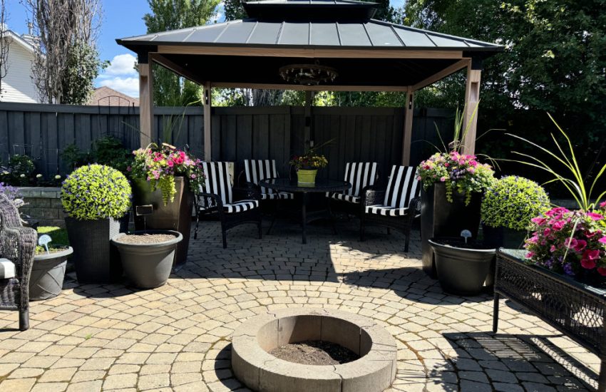 365CurbAppeal Beautiful Topiaries and Spring Garden 2024